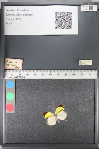 Media type: image;   Entomology 120884